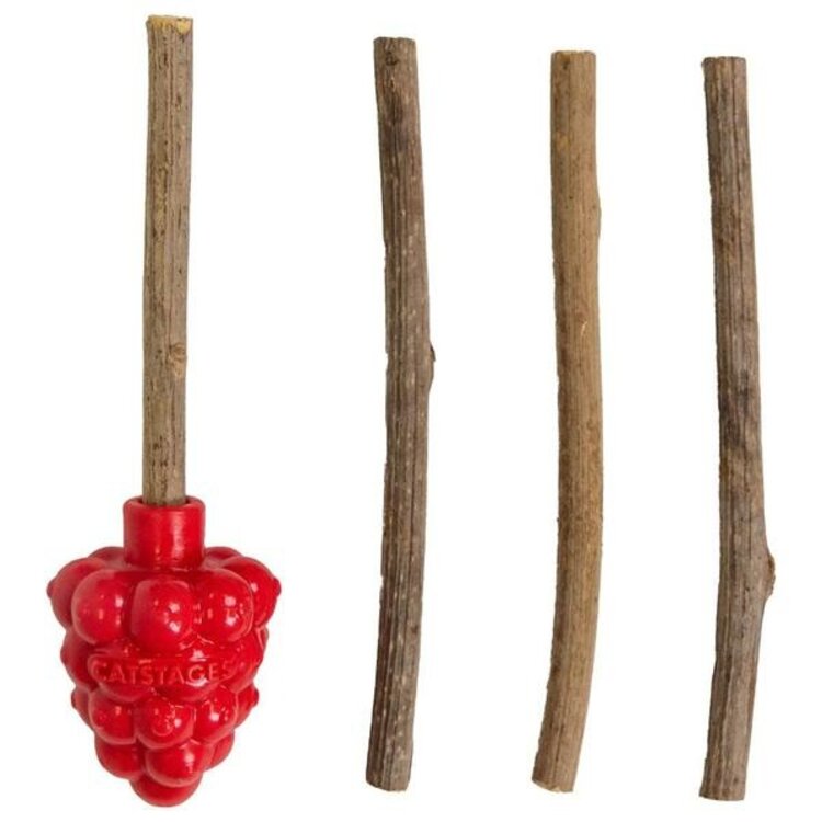 Outward Hound - raspberry silvervine teether - cat