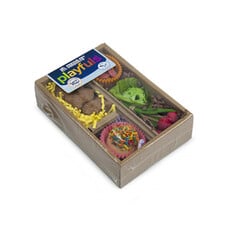 Prevue Hendryx - bento chew and shred box