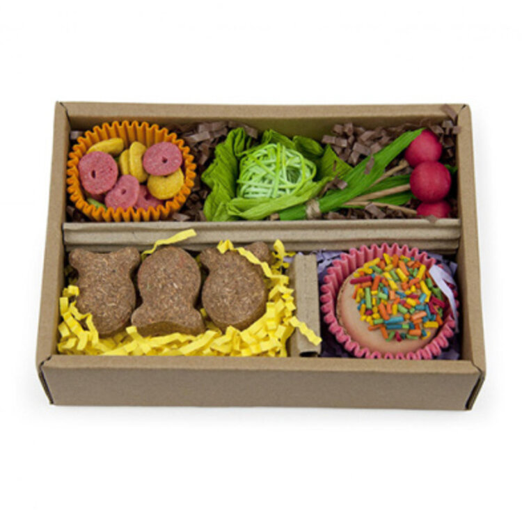 Prevue Hendryx - bento chew and shred box
