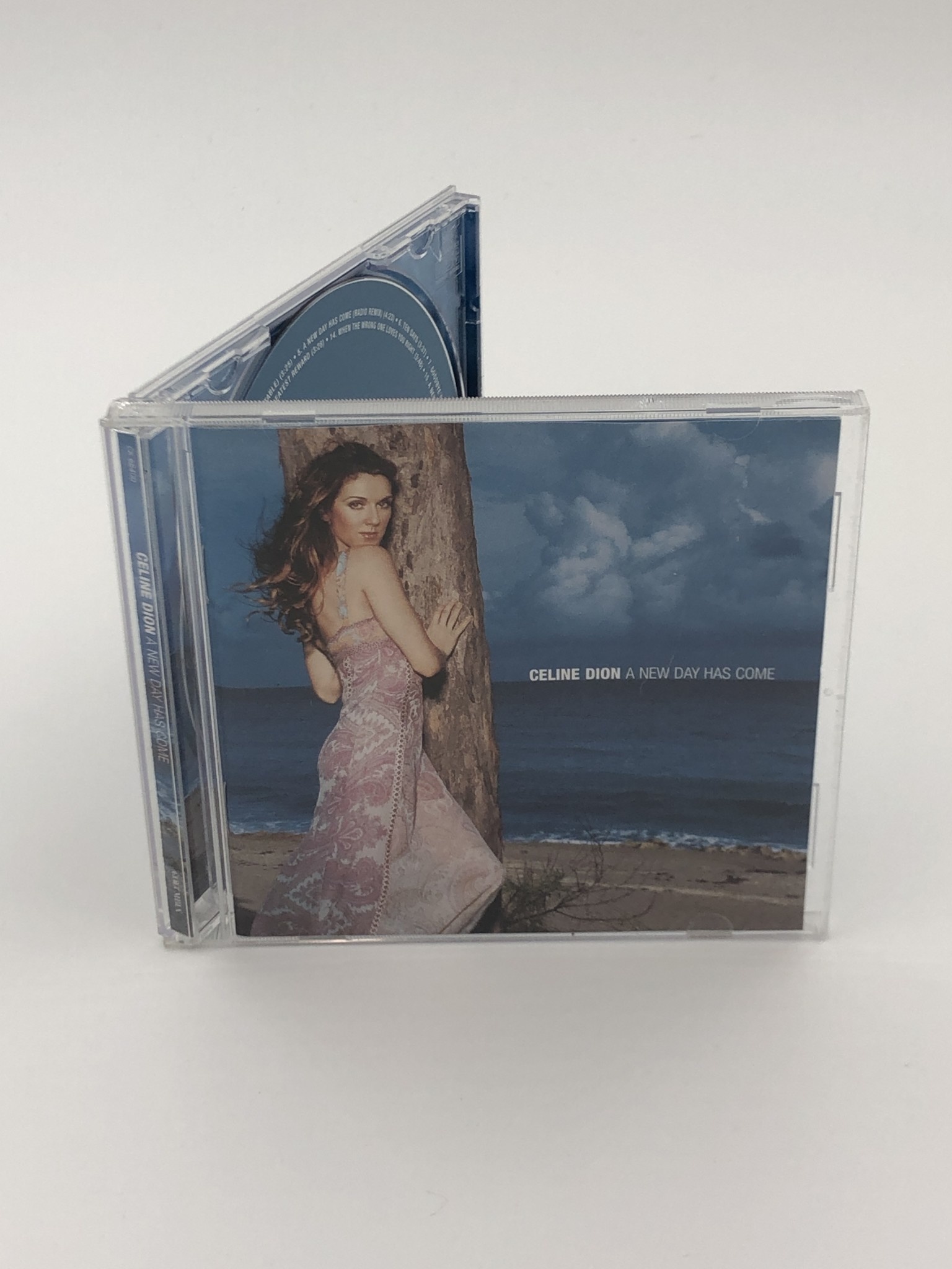 Celine Dion: A New Day has Come CD - This N That
