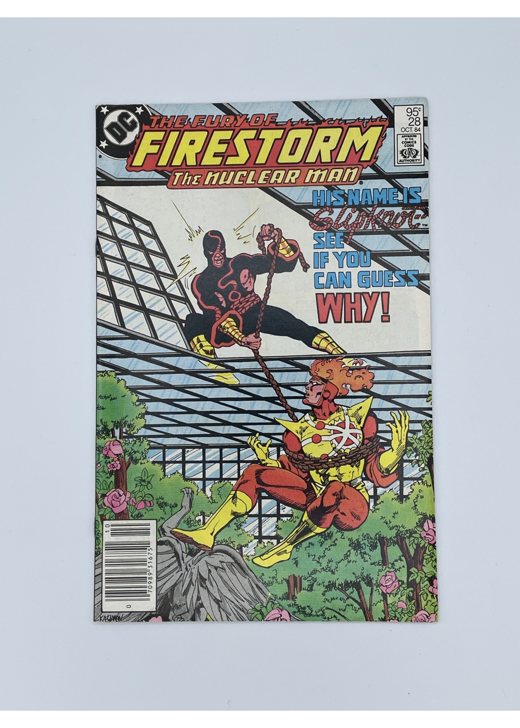 DC Fury Of Firestorm #28 Dc October 1984