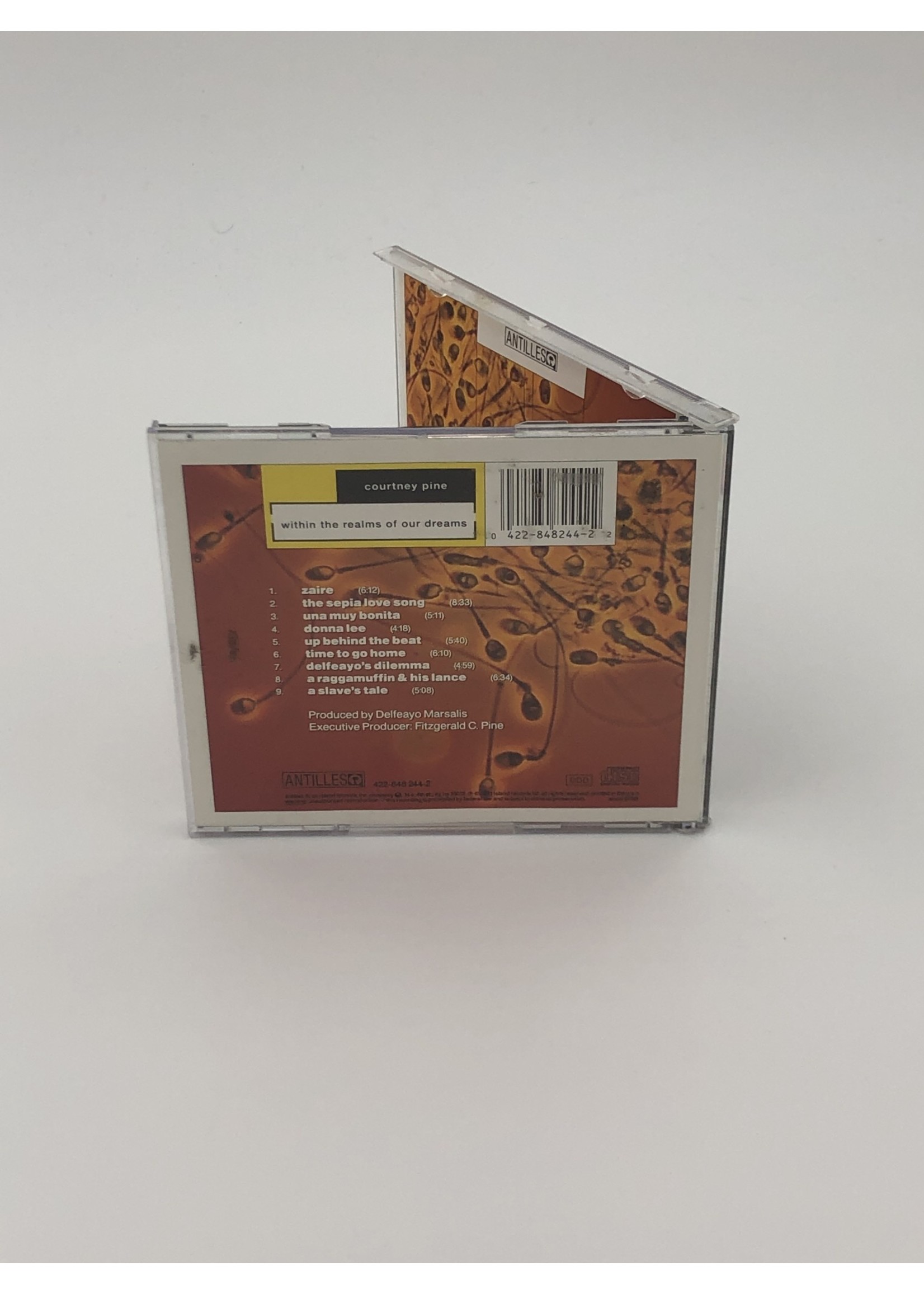 CD Courtney Pine: Within the Realms of our Dreams CD