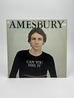 LP Bill Amesbury Can You Feel It LP Record