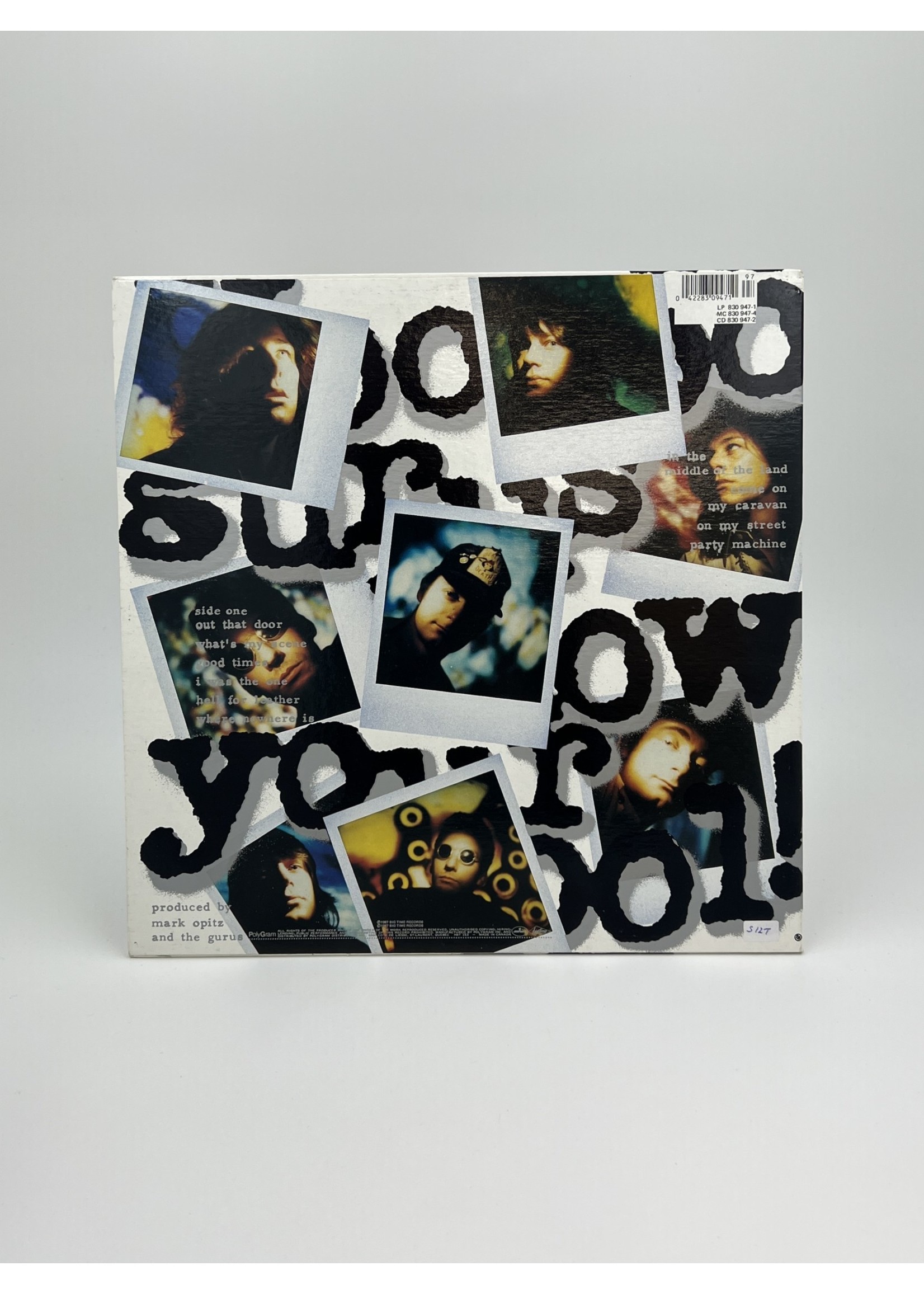 LP Hoodoo Gurus Blow Your Cool LP Record
