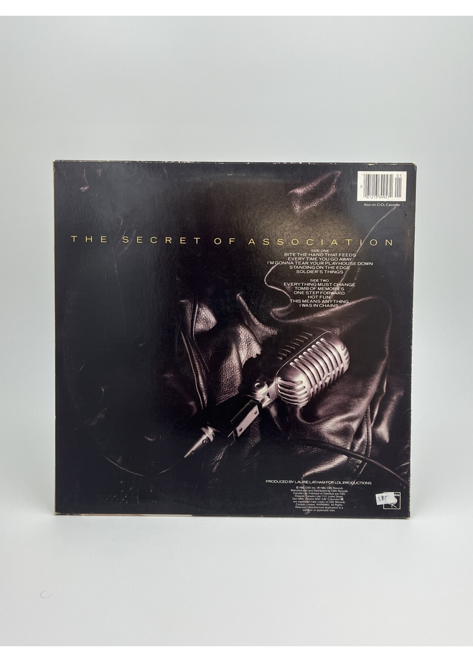 LP Paul Young The Secret Of Association LP Record