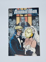 DC Animal Man #30 Dc December 1990