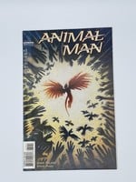 DC Animal Man #79 Dc January 1995