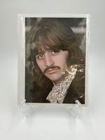 Portraits Ringo Starr Photo