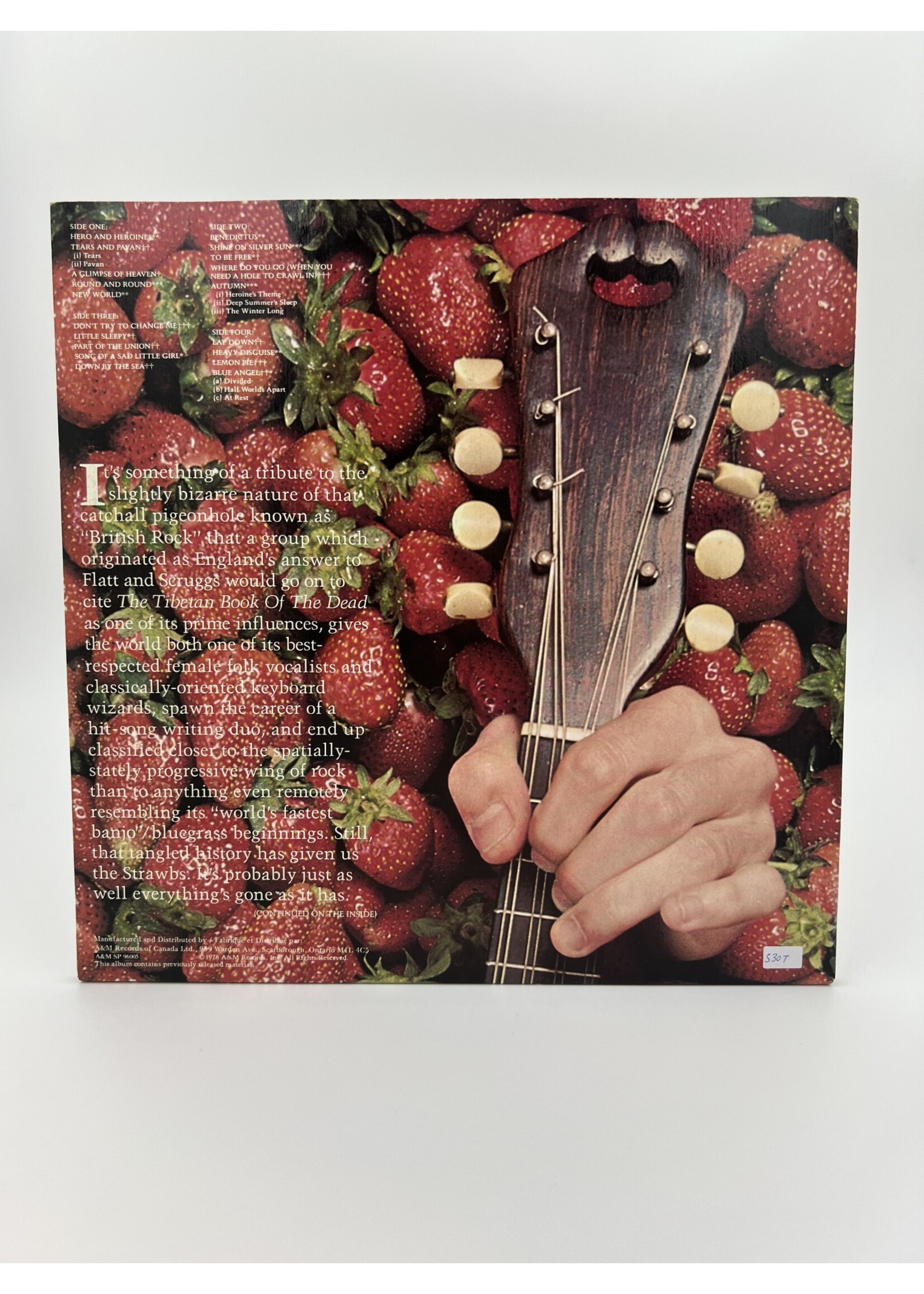 LP The Best Of The Strawbs 2 Record LP