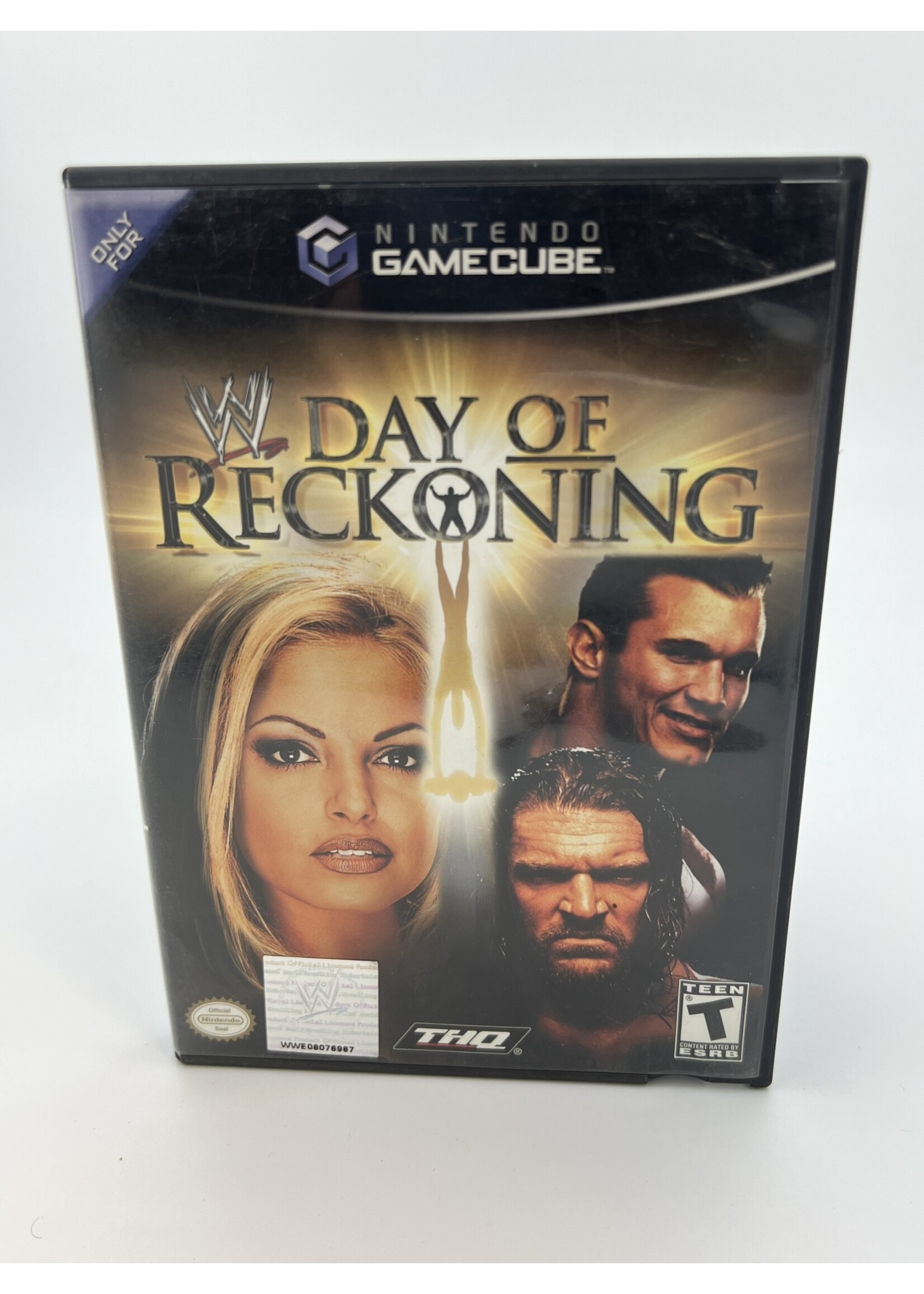 Nintendo   WWE Day Of Reckoning Gamecube