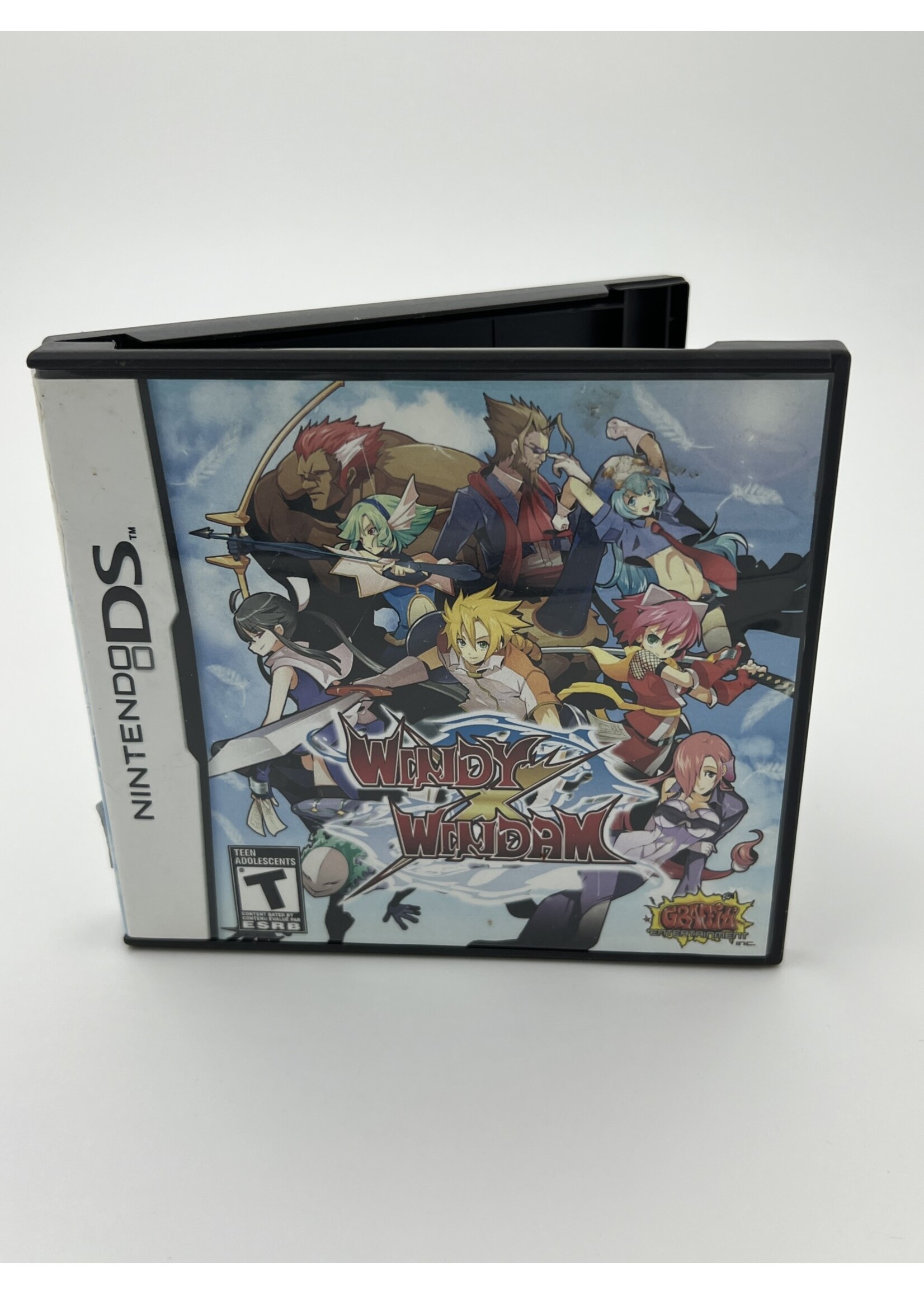 Nintendo Windy X Windam DS