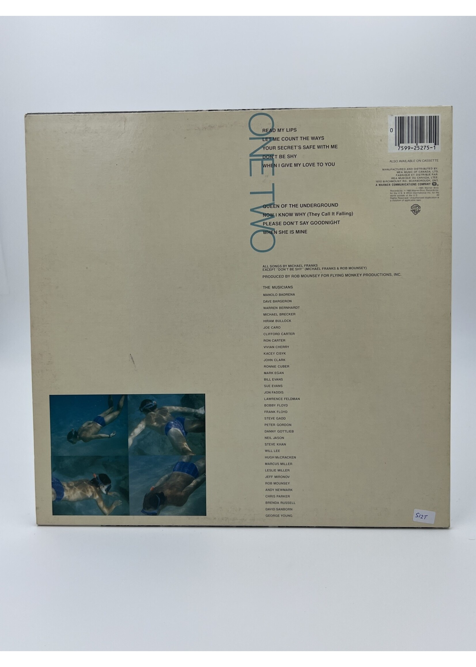 LP   Michael Franks Skin Dive LP Record