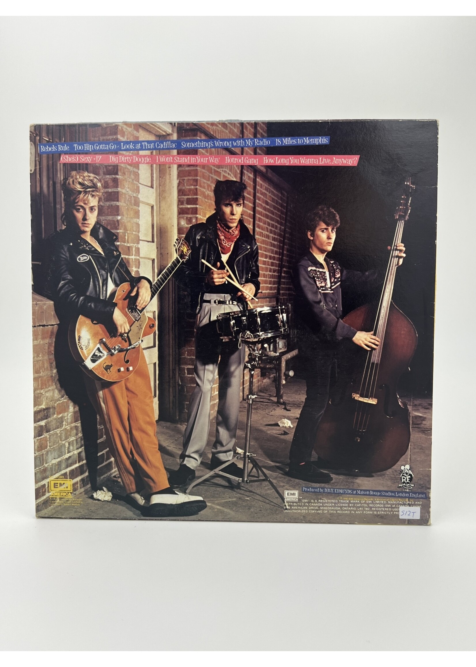 LP Rant N Rave With The Stray Cats LP Record