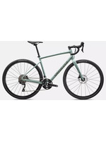 Specialized DIVERGE E5 ELITE WHTSGE/TPE 58