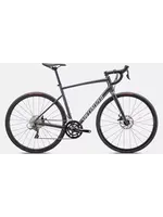 Specialized ALLEZ E5 DISC SMK/WHT/SILDST 54