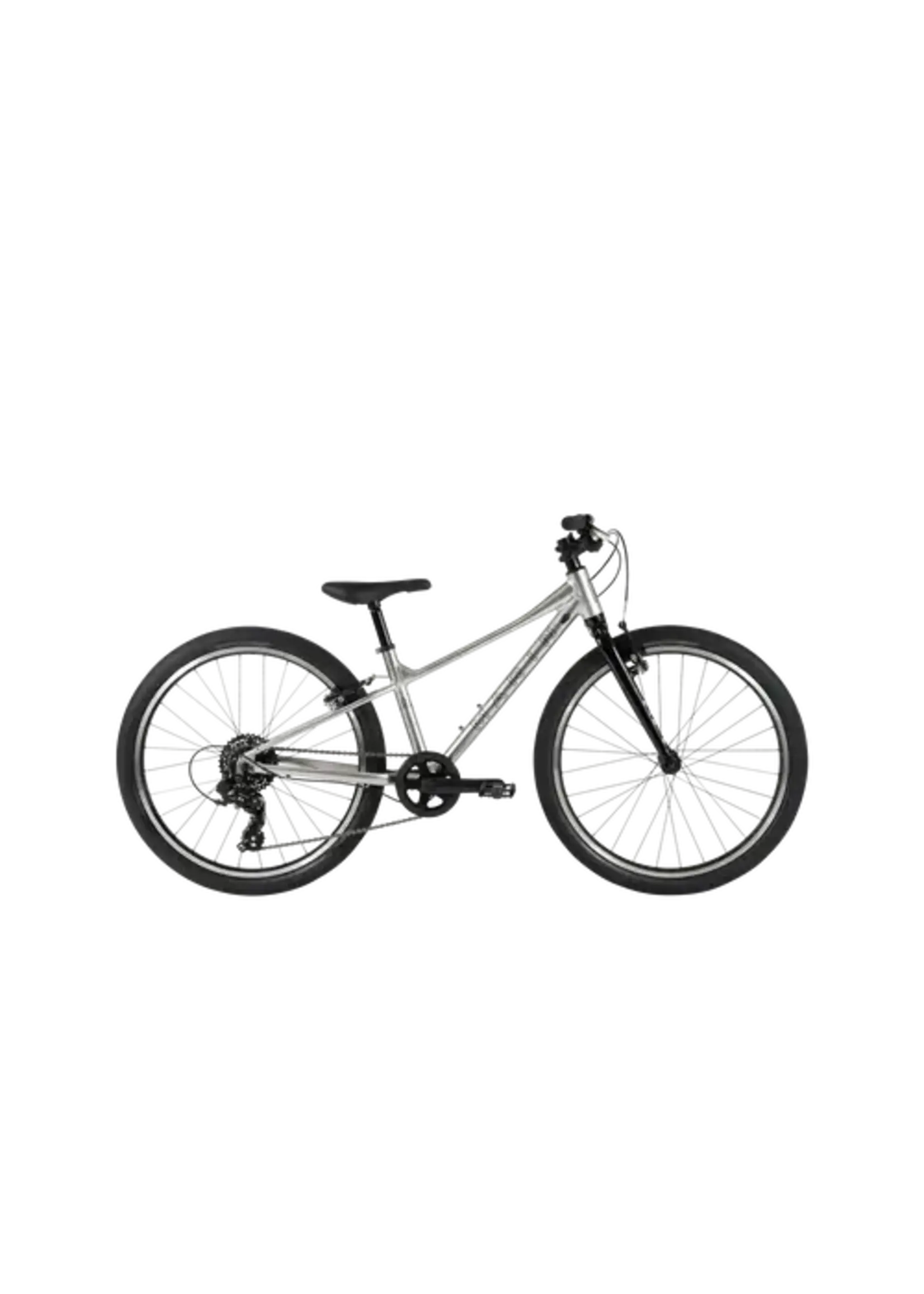 Marin Coast Trail 24" Silver/Black