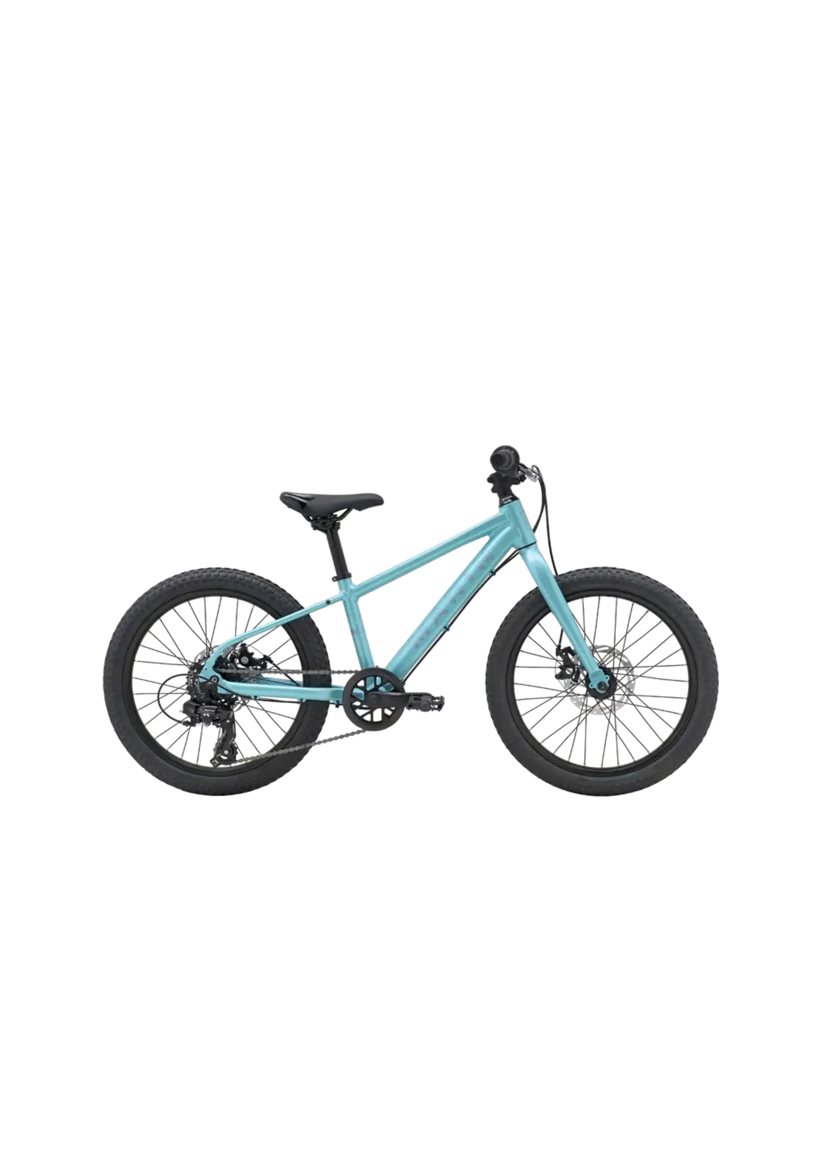 Marin Bayview Trail 24" Teal/Silver