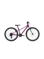 Marin Coast Trail 24" Purple