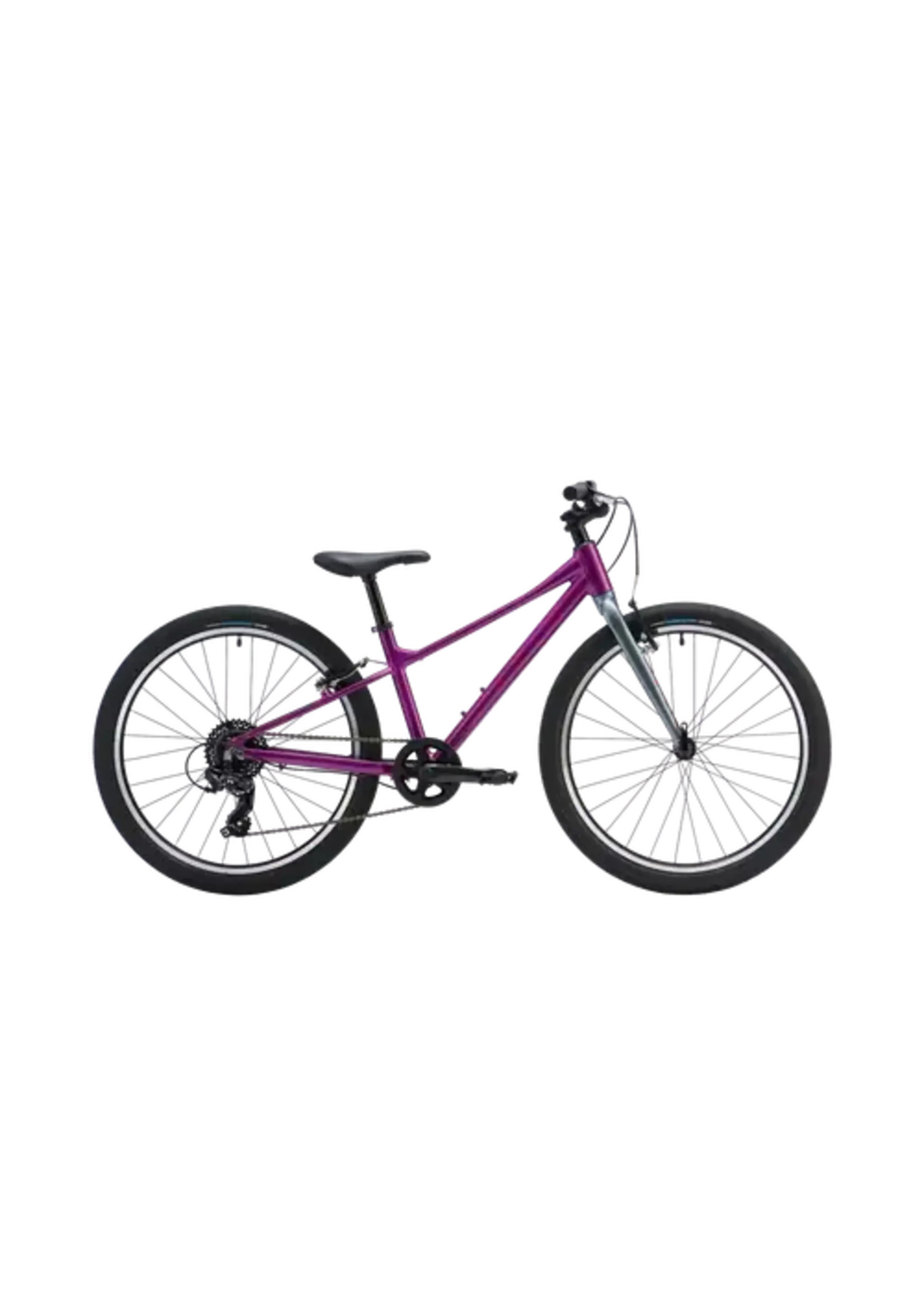 Marin Coast Trail 24" Purple