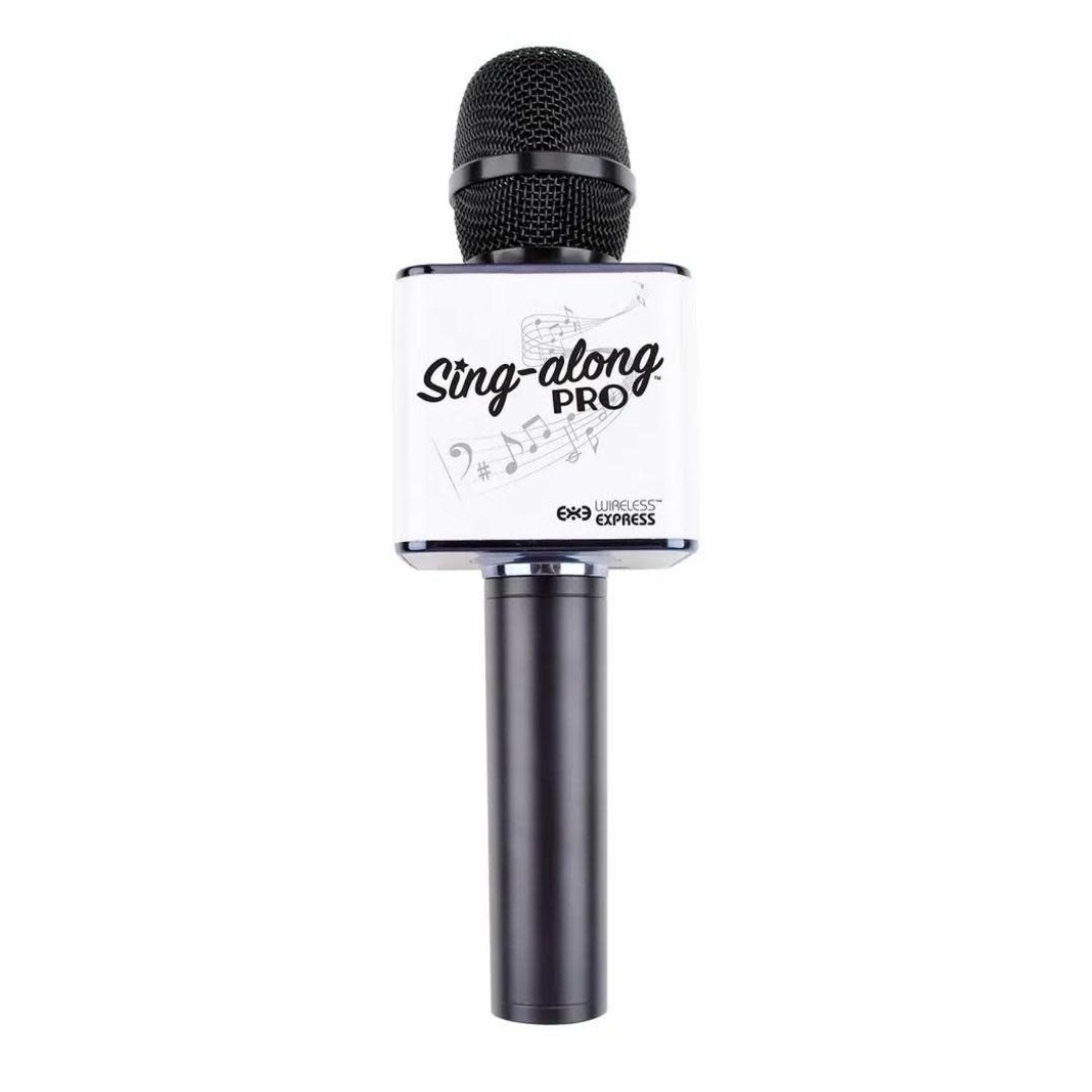 Sing along 2025 karaoke microphone