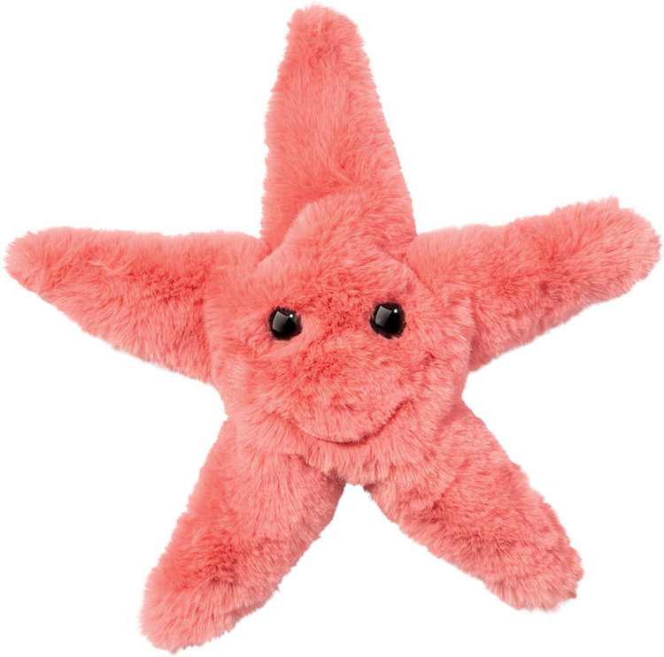 Douglas Shiny Coral Starfish