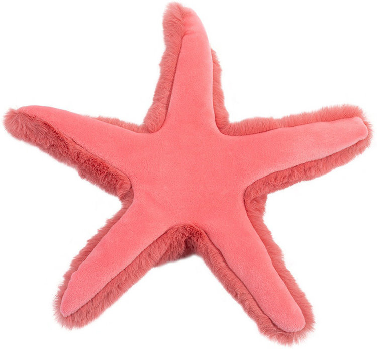 Douglas Shiny Coral Starfish