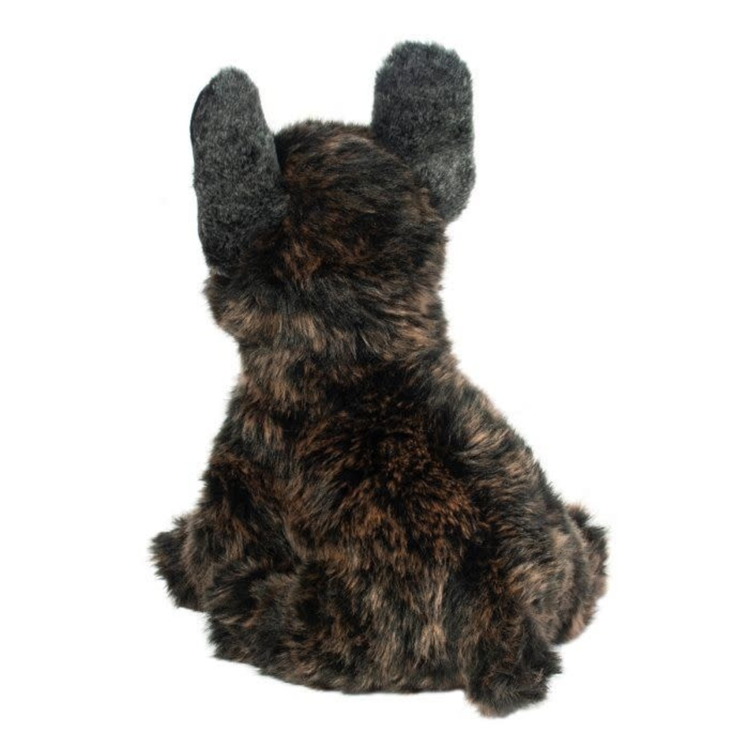 Billie French Bulldog Mudpuddles Toys and Books