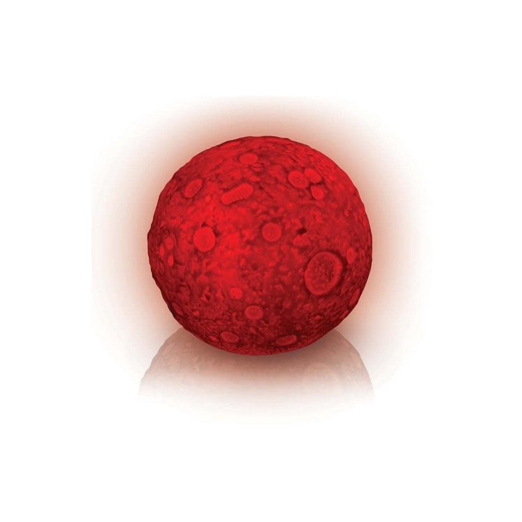 Toysmith Lunar Light Show