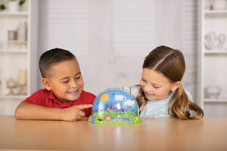 Insect Lore Ladybug Land with Prepaid Voucher