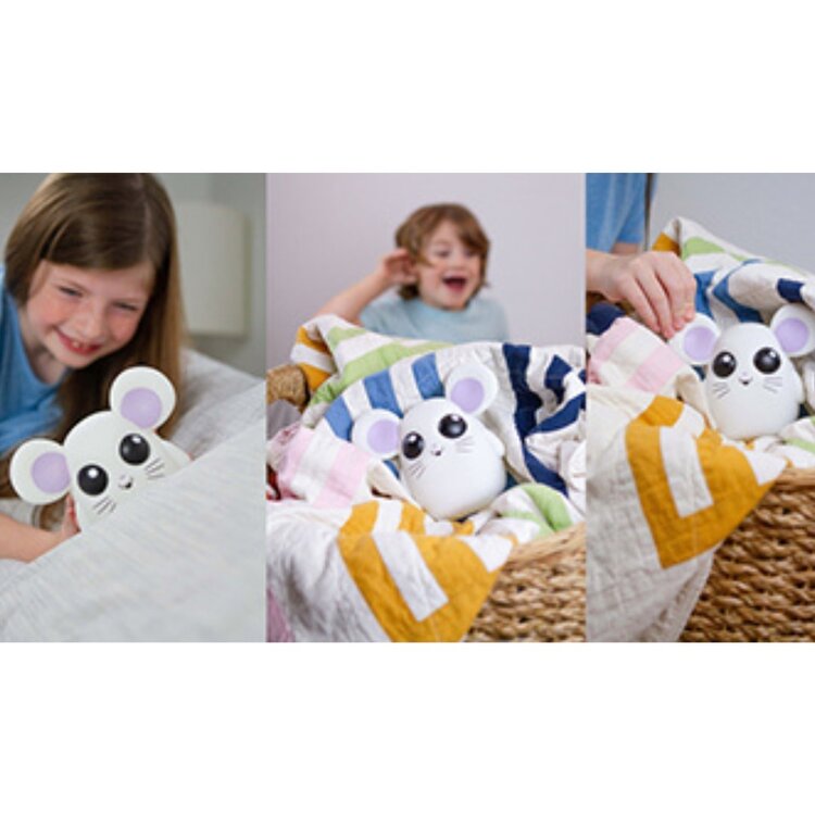 Blue Orange Games Where's Squeaky Hide & Squeak Mouse Game