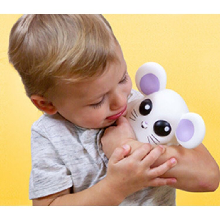 Blue Orange Games Where's Squeaky Hide & Squeak Mouse Game