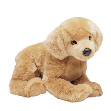 Douglas Honey Golden Retriever