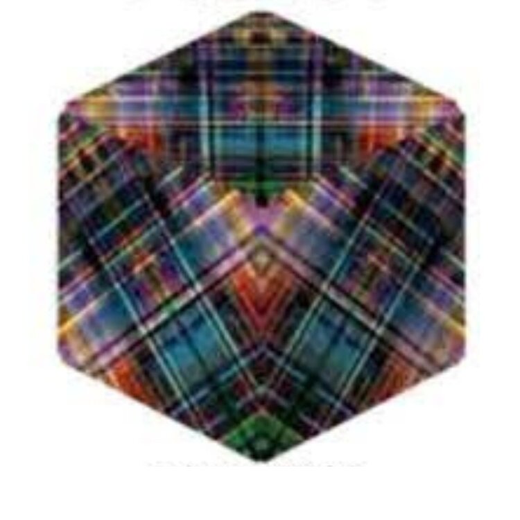 Fun in Motion Disco Plaid Shashibo