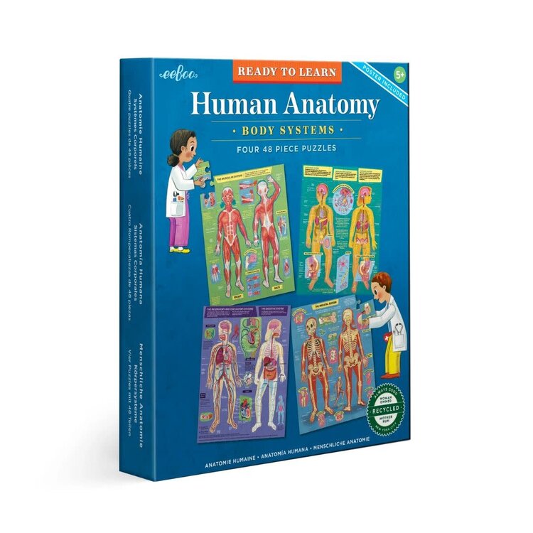 Eeboo Human Anatomy Puzzle 48pc Set