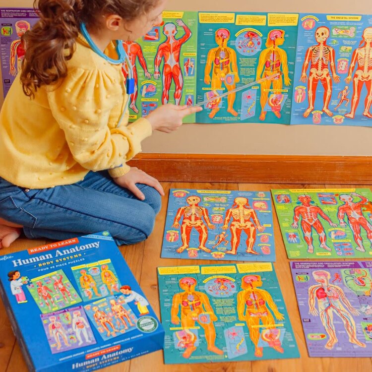 Eeboo Human Anatomy Puzzle 48pc Set