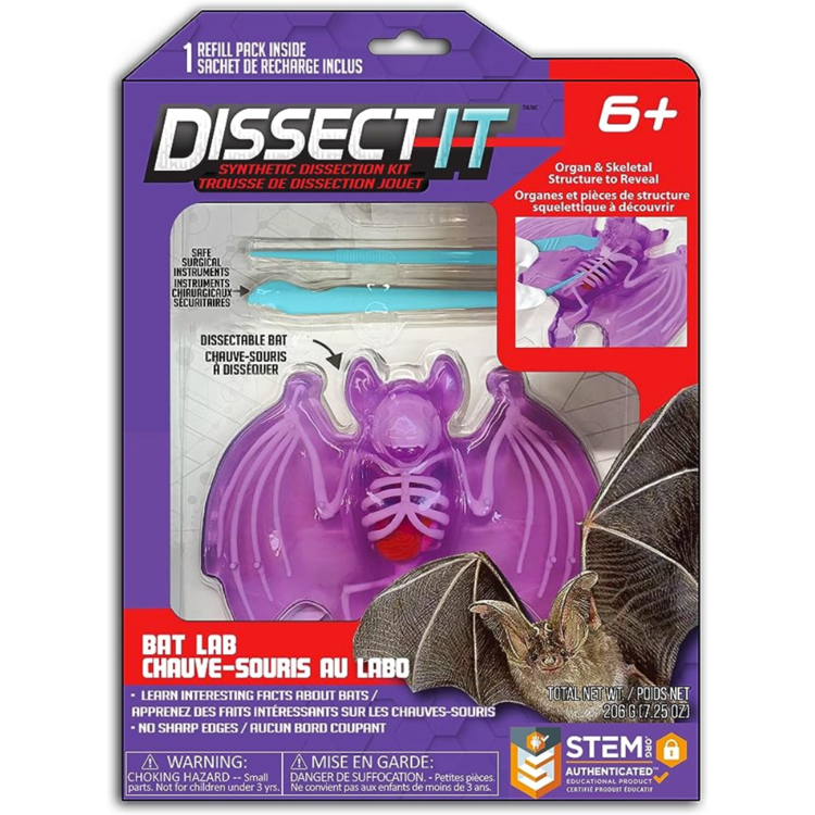 Bat Dissect-It Lab