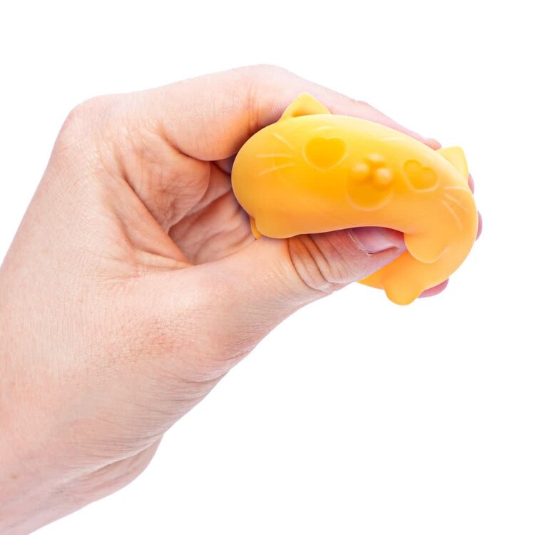 Schylling Teenie Cool Cat NeeDoh