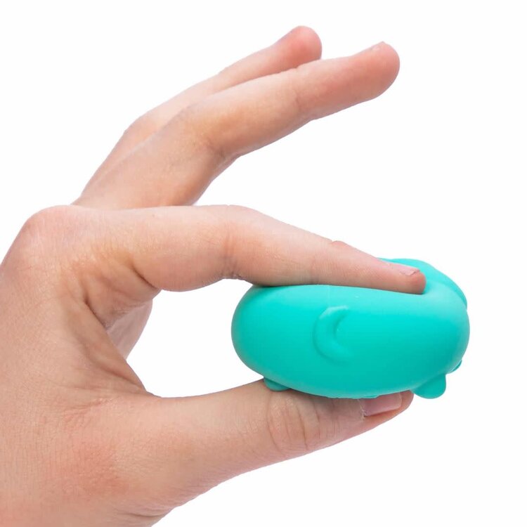 Schylling Teenie Funky Pups NeeDoh