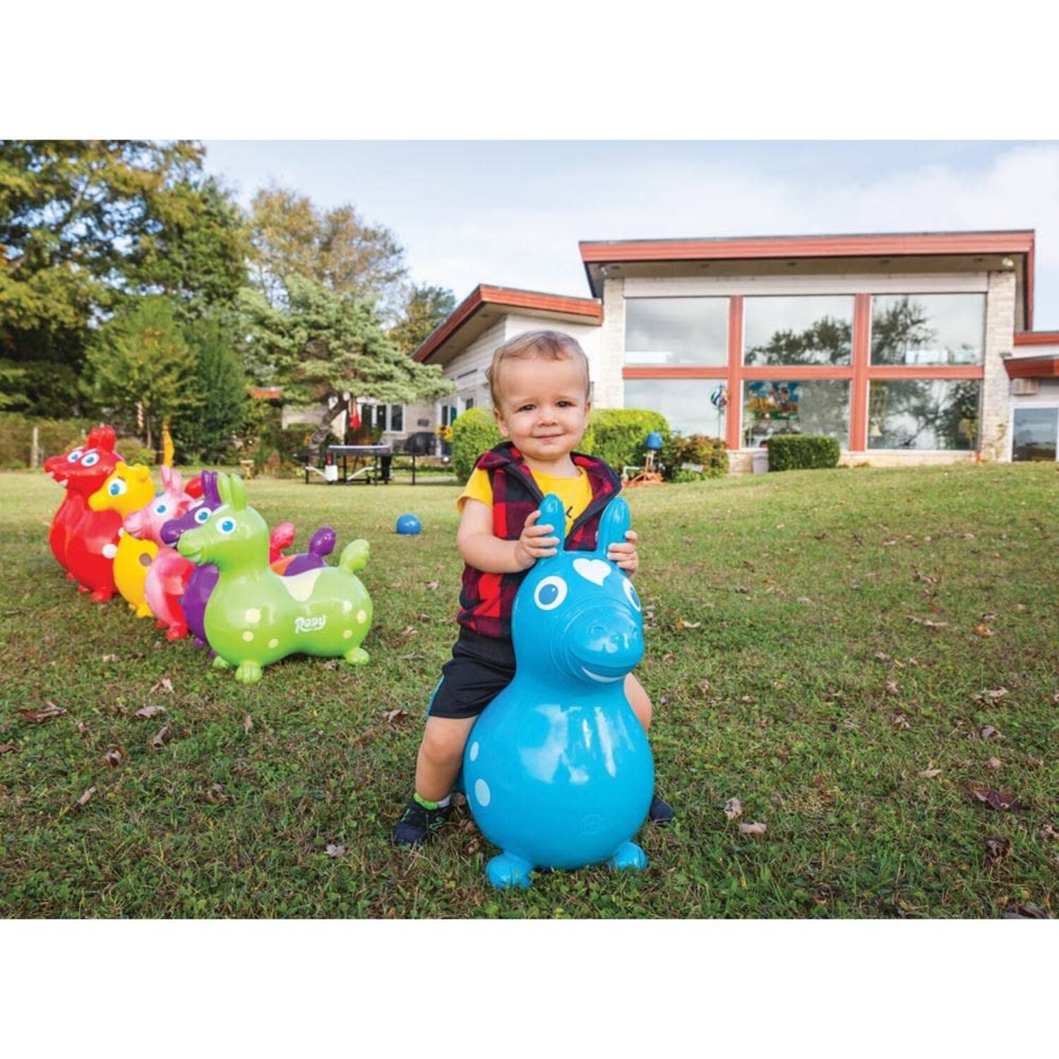 Rody Teal - Mudpuddles Toys and Books