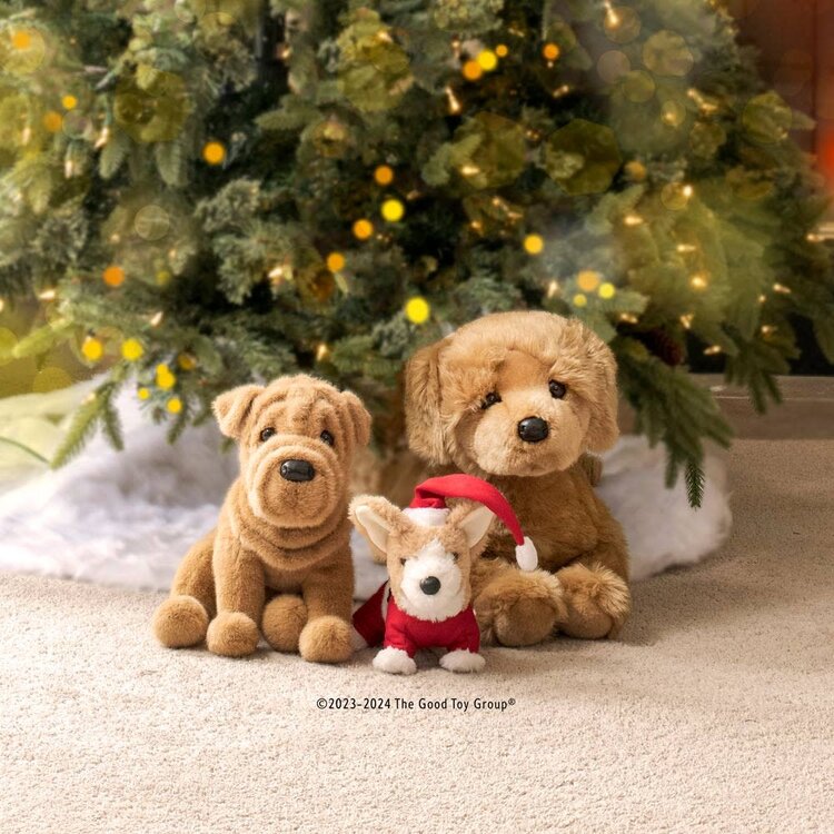 Douglas Honey Golden Retriever