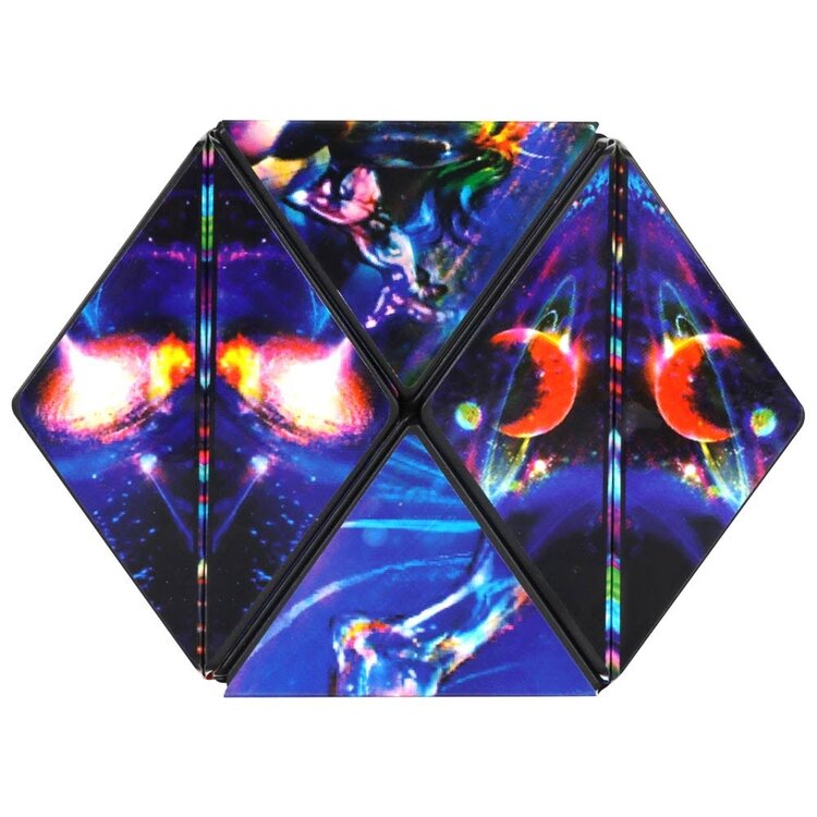 Fun in Motion Cosmic Surfer Shashibo