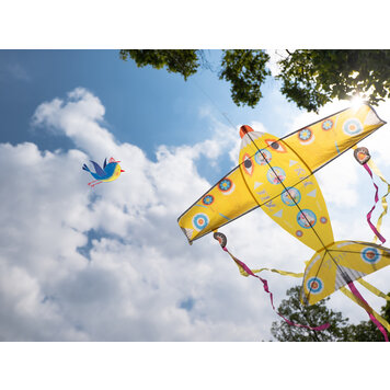 Djeco SALE! Maxi Plane Kite