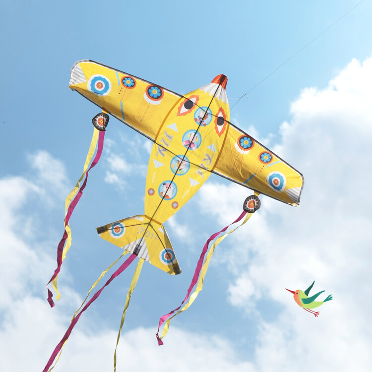 Djeco SALE! Maxi Plane Kite
