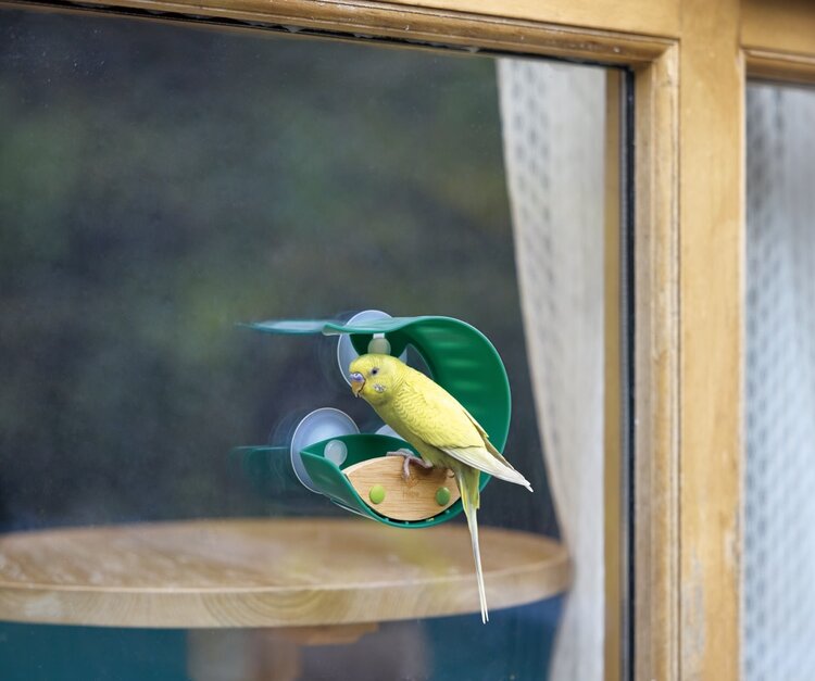 Hape Window Bird Feeder