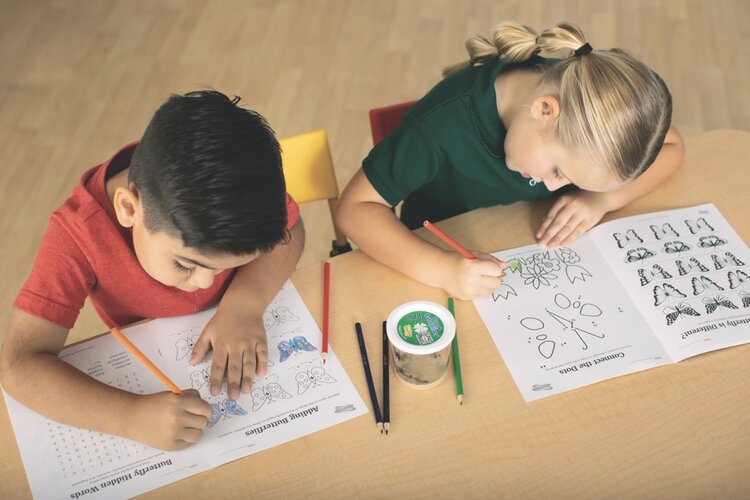 Insect Lore Butterfly Garden with Prepaid Voucher