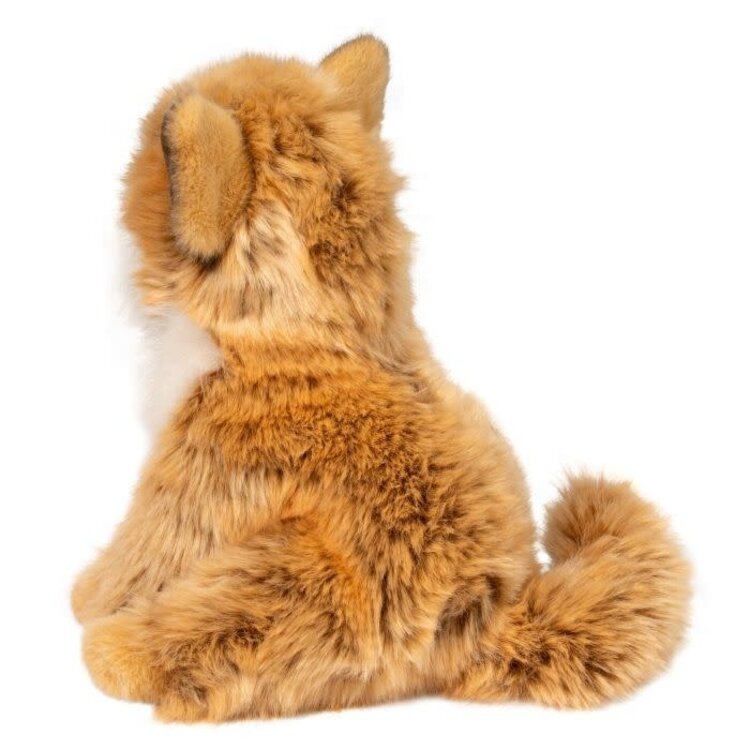 Douglas Dove Pomsky Puppy