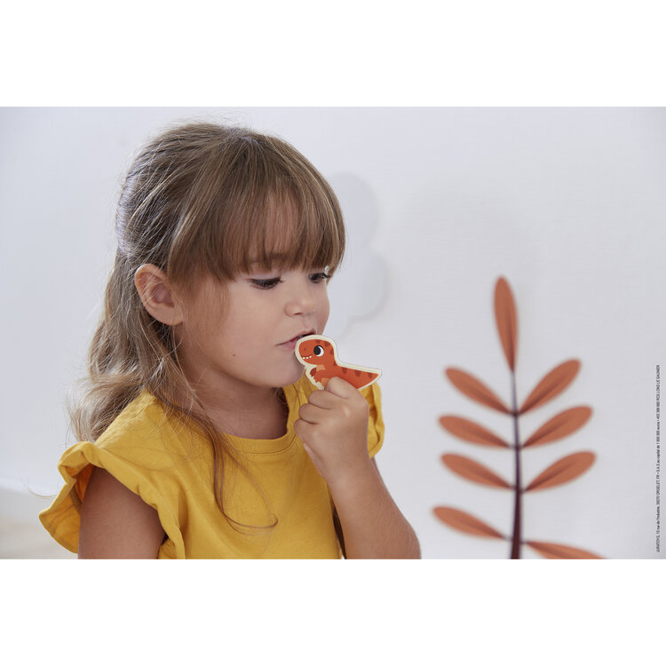 Janod Dino Magnets 24 pieces