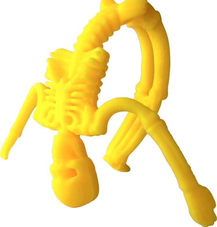 Squish N Stretch Skeleton