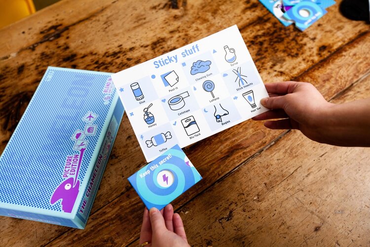 Gamewright Chameleon Pictures Game