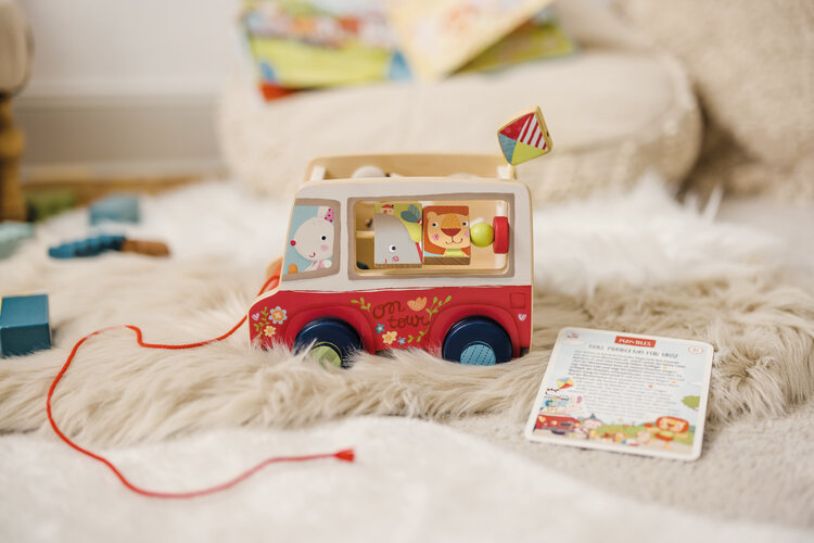 Bababoo Friends on Tour Push and Pull Toy